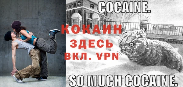 спайс Покачи