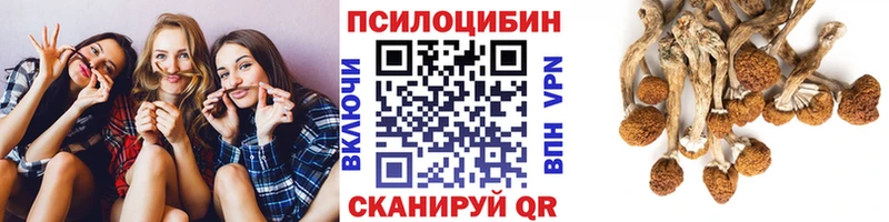 Галлюциногенные грибы Magic Shrooms darknet клад Змеиногорск